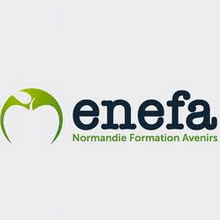 Logo enefa